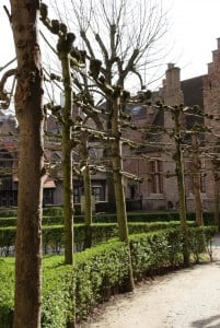 Garten mit Spalierbäumen Brügge