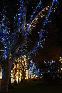Baum an Weihnachten Funchal Madeira