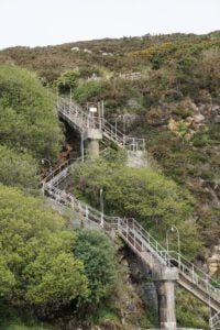 Treppe zum Küstenwanderweg Fishguard Wales