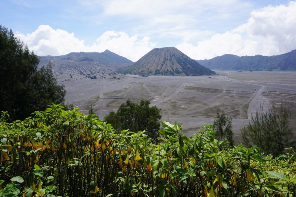 Blick auf die Vulkanlandschaft
